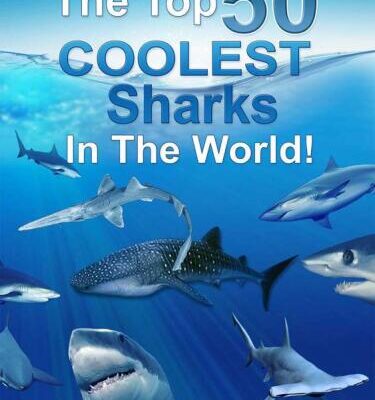 خرید و دانلود نسخه کامل کتاب The Top 50 COOLEST Sharks in the World!