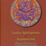 خرید و دانلود نسخه کامل کتاب The Twelve Spirit Points of Acupuncture: Beyond Symtomatic and Preventive Healing