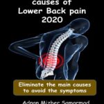 خرید و دانلود نسخه کامل کتاب The undiscovered causes of Lower Back Pain 2020: Eliminate the main causes to avoid the symptoms