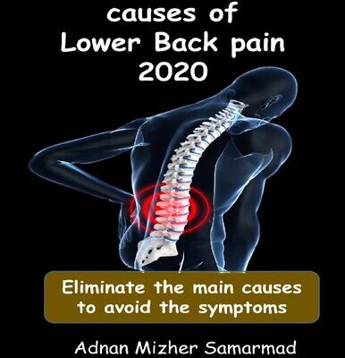 خرید و دانلود نسخه کامل کتاب The undiscovered causes of Lower Back Pain 2020: Eliminate the main causes to avoid the symptoms