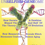 خرید و دانلود نسخه کامل کتاب The Unselfish Genome- How Darwin & Dawkins Missed The 2nd Half Of The Theory Of Evolution: New Research Identifies The Hormone Changes That Control Human Aging