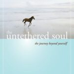 خرید و دانلود نسخه کامل کتاب The untethered soul: the journey beyond yourself