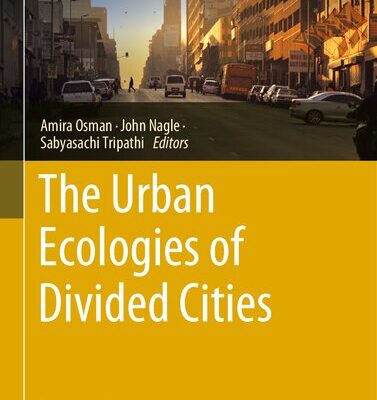 خرید و دانلود نسخه کامل کتاب The Urban Ecologies of Divided Cities