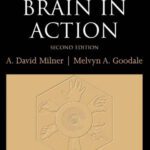 خرید و دانلود نسخه کامل کتاب The Visual Brain in Action