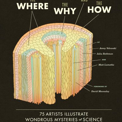 خرید و دانلود نسخه کامل کتاب The Where, the Why, and the How: 75 Artists Illustrate Wondrous Mysteries of Science