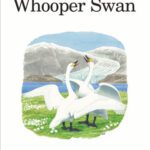 خرید و دانلود نسخه کامل کتاب The Whooper Swan (Poyser Monographs)