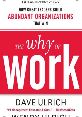 خرید و دانلود نسخه کامل کتاب The Why of Work: How Great Leaders Build Abundant Organizations That Win