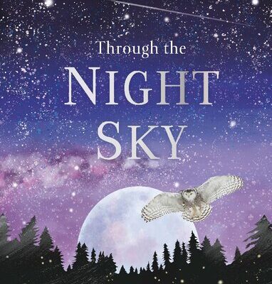 خرید و دانلود نسخه کامل کتاب Through the Night Sky: A collection of amazing adventures under the stars