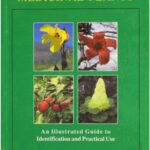 خرید و دانلود نسخه کامل کتاب Tibetan Medicinal Plants