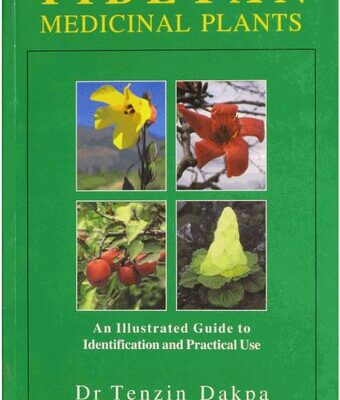 خرید و دانلود نسخه کامل کتاب Tibetan Medicinal Plants