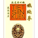 خرید و دانلود نسخه کامل کتاب Tiet Sin (Iron Thread)