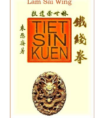 خرید و دانلود نسخه کامل کتاب Tiet Sin (Iron Thread)