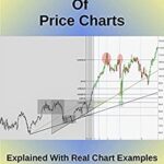 خرید و دانلود نسخه کامل کتاب Time Analysis Of Price Charts Explained With Real Chart Examples [2021] –  +  pdf