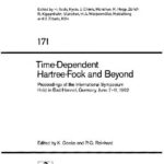 خرید و دانلود نسخه کامل کتاب Time-Dependent Hartree-Fock and Beyond