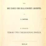 خرید و دانلود نسخه کامل کتاب Timor und umliegende Inseln