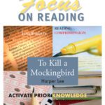 خرید و دانلود نسخه کامل کتاب To Kill a Mockingbird (Saddleback’s Focus on Reading Study Guides)