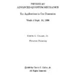 خرید و دانلود نسخه کامل کتاب Topics in advanced quantum mechanics