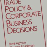 خرید و دانلود نسخه کامل کتاب Trade Policy and Corporate Business Decisions (Research Book from the International Business Education and)