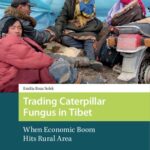 خرید و دانلود نسخه کامل کتاب Trading Caterpillar Fungus in Tibet: When Economic Boom Hits Rural Area – Original PDF