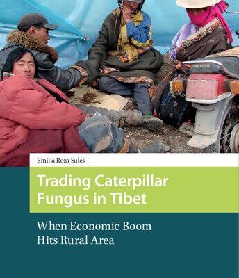 خرید و دانلود نسخه کامل کتاب Trading Caterpillar Fungus in Tibet: When Economic Boom Hits Rural Area – Original PDF
