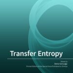 خرید و دانلود نسخه کامل کتاب Transfer Entropy