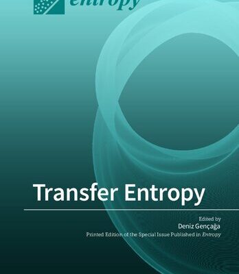 خرید و دانلود نسخه کامل کتاب Transfer Entropy