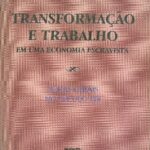 خرید و دانلود نسخه کامل کتاب Transformação e trabalho em uma economia escravista: Minas Gerais no século XIX