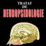 خرید و دانلود نسخه کامل کتاب Tratat de neuropsihologie. Vol.2