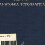 خرید و دانلود نسخه کامل کتاب Trattato di anatomia topografica con aplicazioni medico chirurgiche