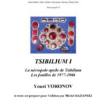 خرید و دانلود نسخه کامل کتاب Tsibilium: La necropole apsile de Tsibilium