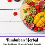 خرید و دانلود نسخه کامل کتاب Tumbuhan Herbal Yang Berkhasiat Mencegah Wabah Penyakit Edisi Bahasa Inggris 2021