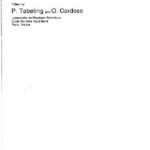 خرید و دانلود نسخه کامل کتاب Turbulence: a tentative dictionary