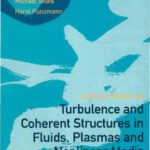 خرید و دانلود نسخه کامل کتاب Turbulence And Coherent Structures in Fluids, Plasmas And Nonlinear Medium (World Scientific Lecture Notes in Complex Systems)