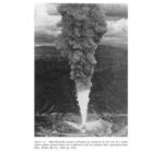 خرید و دانلود نسخه کامل کتاب Turbulent jets and plumes – a Lagrangian approach companion CD