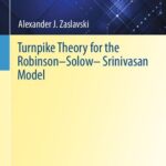 خرید و دانلود نسخه کامل کتاب Turnpike Theory for the Robinson–Solow–Srinivasan Model