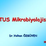 خرید و دانلود نسخه کامل کتاب Tus Mikrobiyolojisi