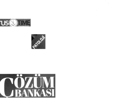 خرید و دانلود نسخه کامل کتاب Tustime Patoloji Çözüm Bankası
