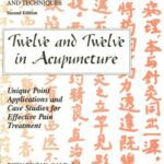 خرید و دانلود نسخه کامل کتاب Twelve and Twelve in Acupuncture
