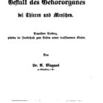 خرید و دانلود نسخه کامل کتاب Ueber die Gestalt des Gehörorganes bei Thieren [Tieren] und Menschen. Populärer Vortrag, gehalten im Junkerhofe zum Besten armer taubstummer Kinder