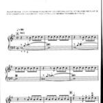 خرید و دانلود نسخه کامل کتاب Uematsu Nobuo Final Fantasy IX Original Soundtrack CD 1 Sheet Music