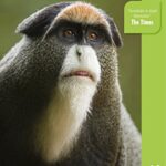 خرید و دانلود نسخه کامل کتاب Uganda (Bradt Travel Guides)