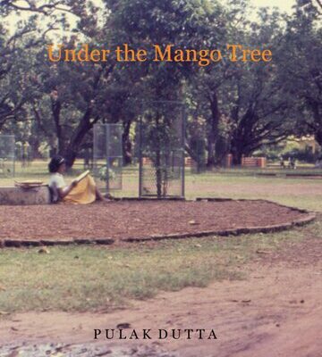 خرید و دانلود نسخه کامل کتاب Under The Mango Tree