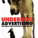 خرید و دانلود نسخه کامل کتاب Underdog Advertising