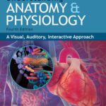 خرید و دانلود نسخه کامل کتاب Understanding Anatomy & Physiology: A Visual, Auditory, Interactive Approach