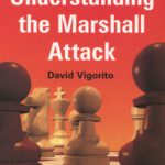 خرید و دانلود نسخه کامل کتاب Understanding the Marshall Attack