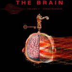 خرید و دانلود نسخه کامل کتاب Unlocking the Brain: Volume 2: Consciousness