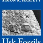 خرید و دانلود نسخه کامل کتاب Usk Fossils: A Palaeontological Guide to the Silurian Inlier