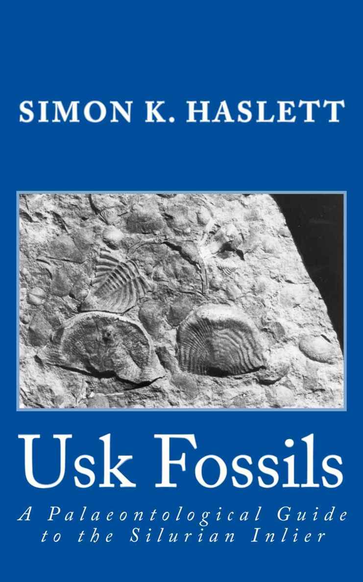 خرید و دانلود نسخه کامل کتاب Usk Fossils: A Palaeontological Guide to the Silurian Inlier_68c1c206672a1.jpeg خرید و دانلود نسخه کامل کتاب Usk Fossils: A Palaeontological Guide to the Silurian Inlier