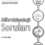 خرید و دانلود نسخه کامل کتاب UTS SORU KİTABI – MİKROBİYOLOJİ