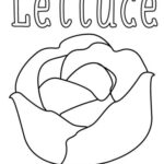 خرید و دانلود نسخه کامل کتاب Vegetables Coloring Pages